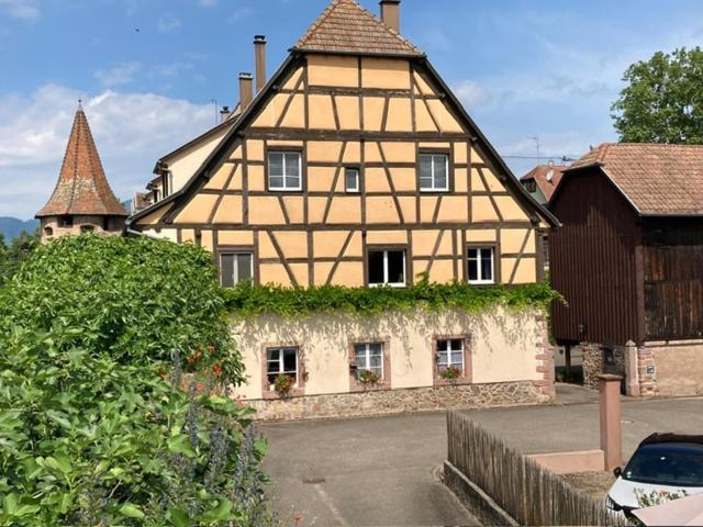 Joli Gite 2 Personnes En Alsace Guémar 外观 照片