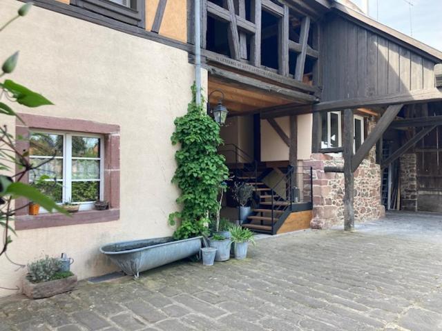 Joli Gite 2 Personnes En Alsace Guémar 外观 照片