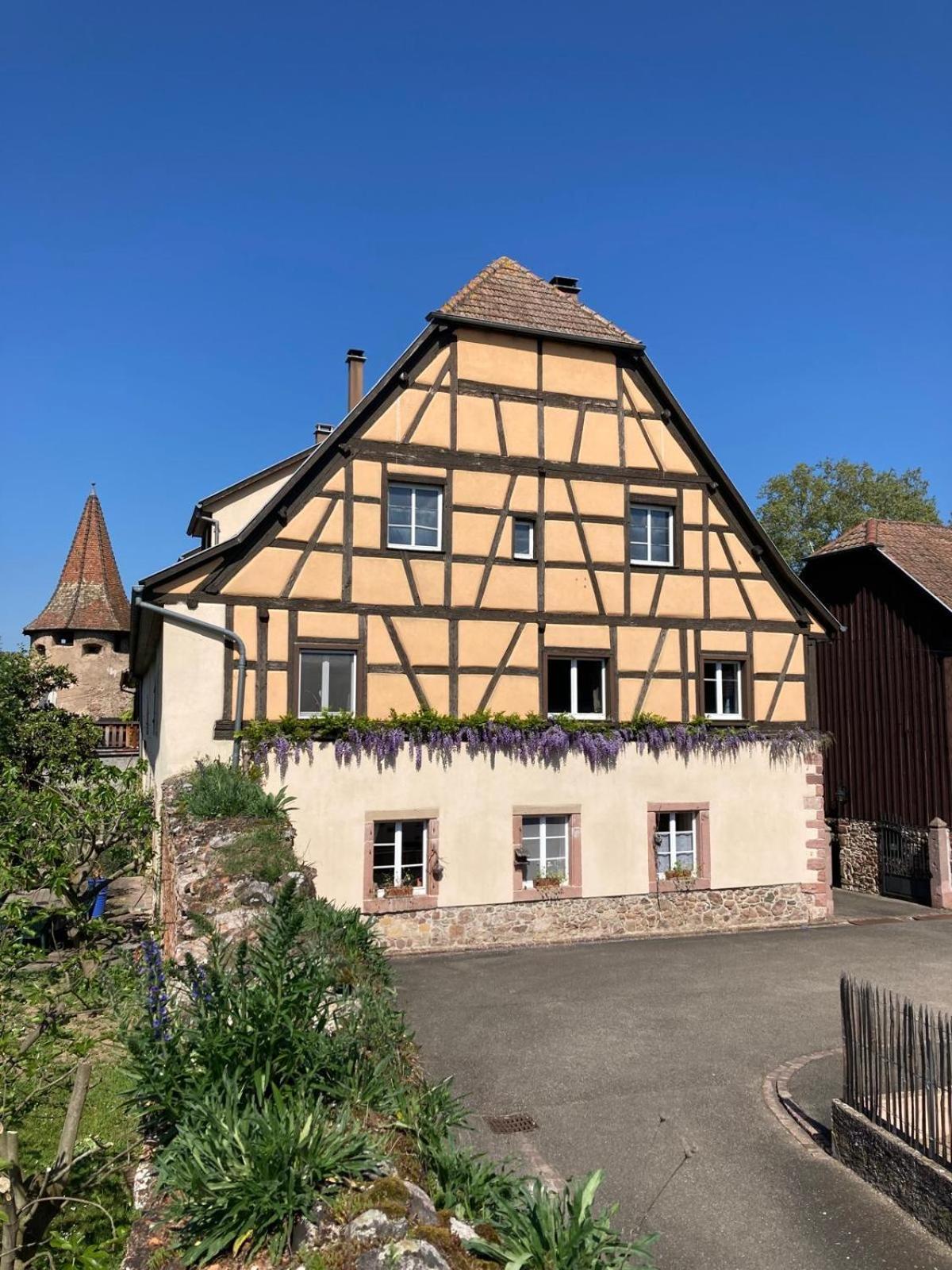 Joli Gite 2 Personnes En Alsace Guémar 外观 照片